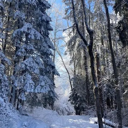 Chic A Chamonix, Chalet Ski/golf, Quartier Les Bois