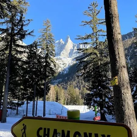 Chic A Chamonix, Chalet Ski/golf, Quartier Les Bois Horská chata Chamonix